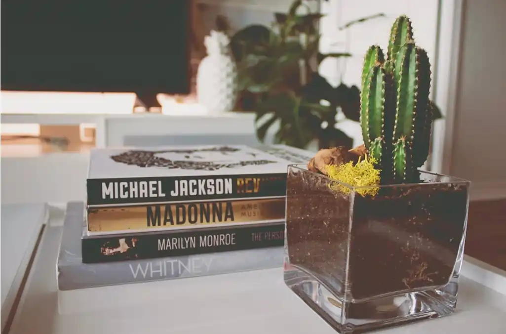 cactus in the home beside book