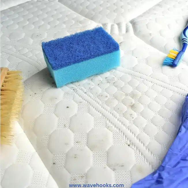 how to clean mold on mattress