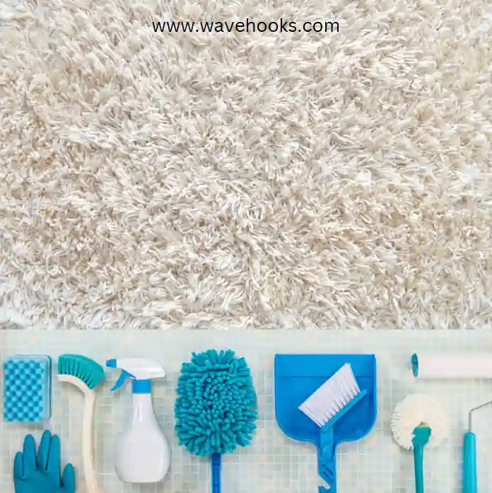 tools for carpet cleaning