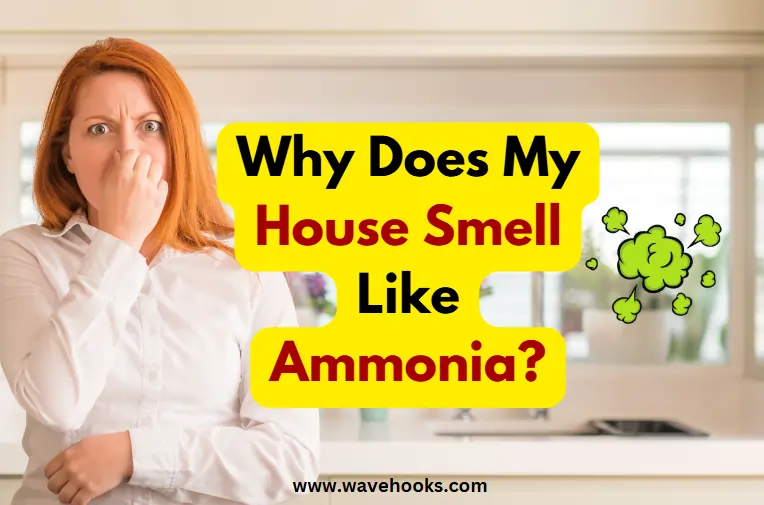 Why Does My House Smell Like Ammonia?