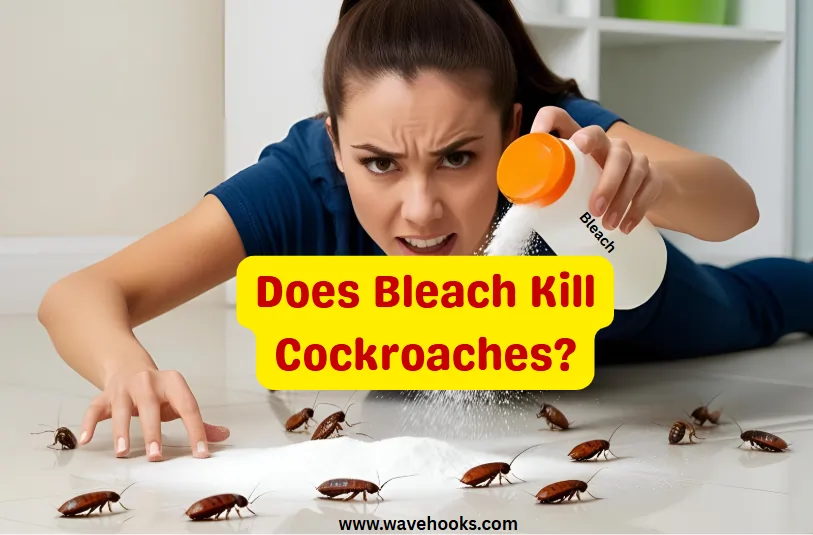 Does Bleach Kill Cockroaches?