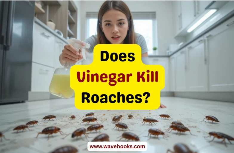 Does Vinegar Kill Roaches?