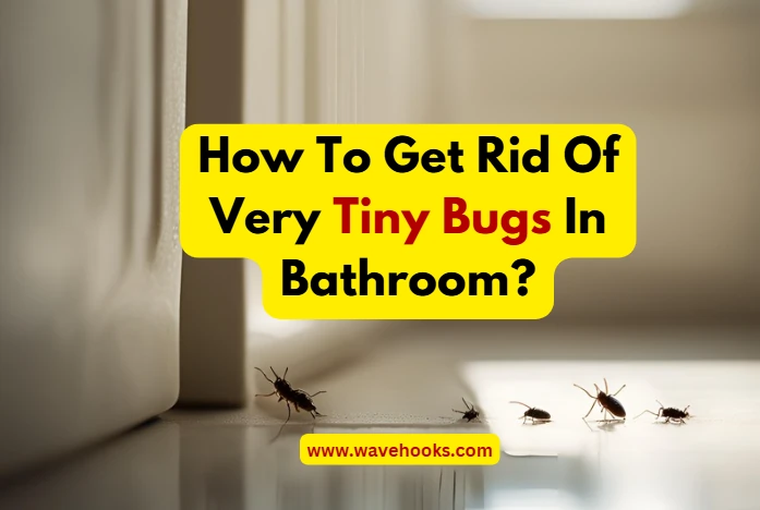 How To Get Rid Of Very Tiny Bugs In Bathroom?