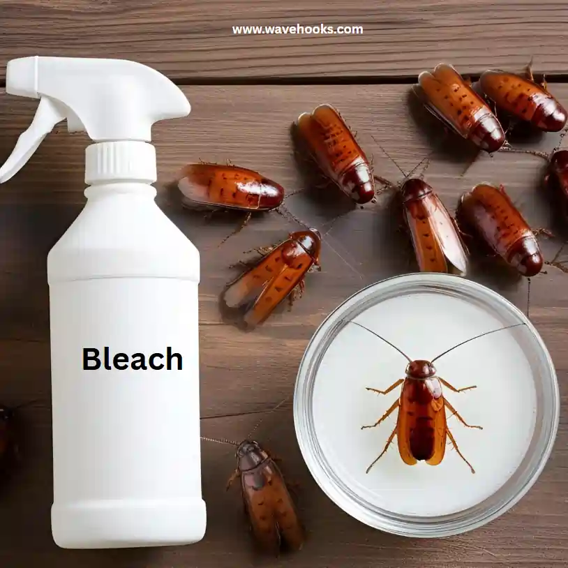 why bleach alone is not enough to kill cockroaches