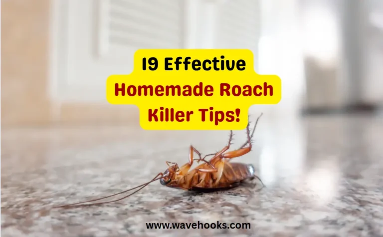 Homemade roach killer tips