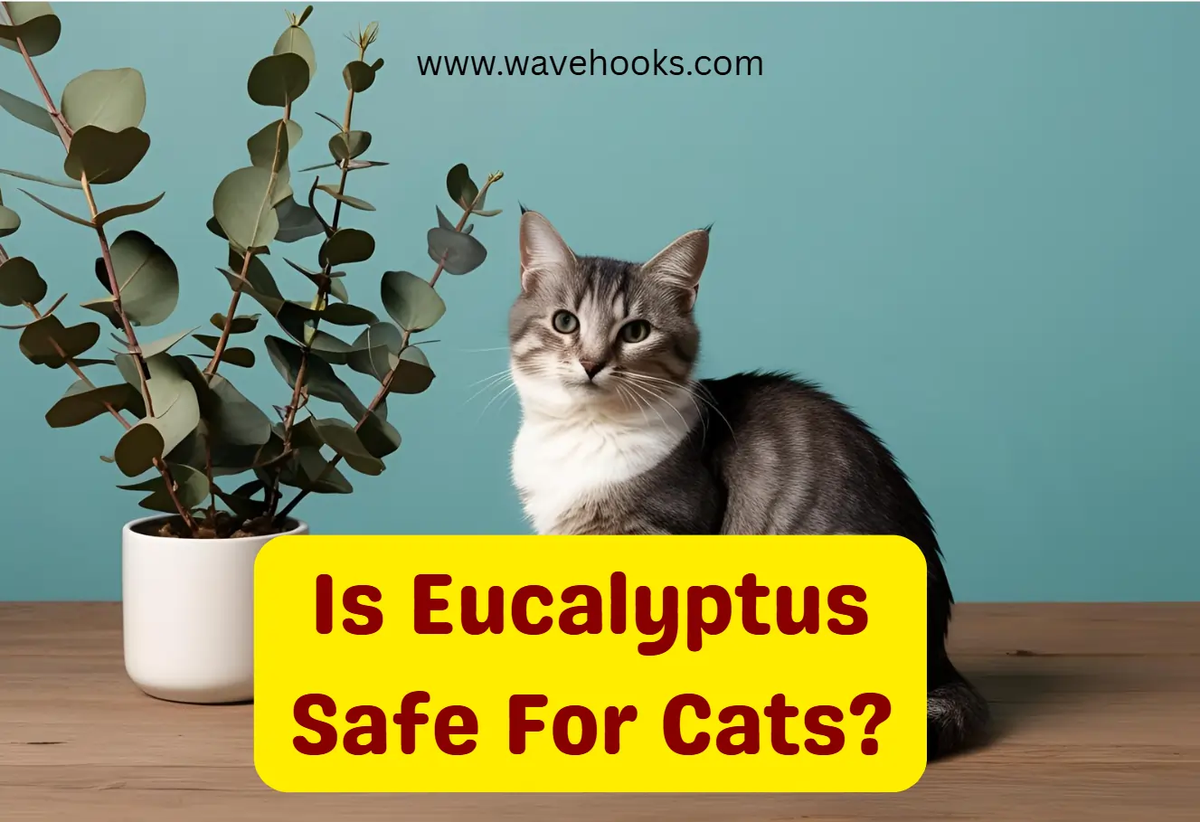 Is Eucalyptus Safe For Cats?
