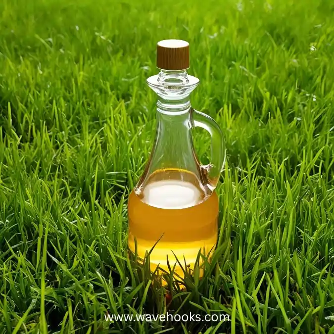 vinegar bottle on grass