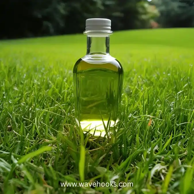vinegar pour on grass