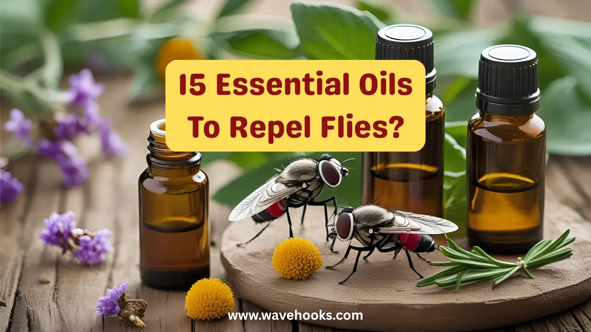 Essential Oils To Repel Flies