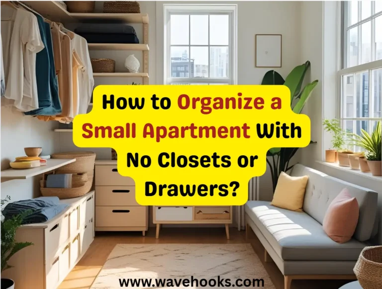 How To Organize A Small Apartment WIth No Closets or Drawers
