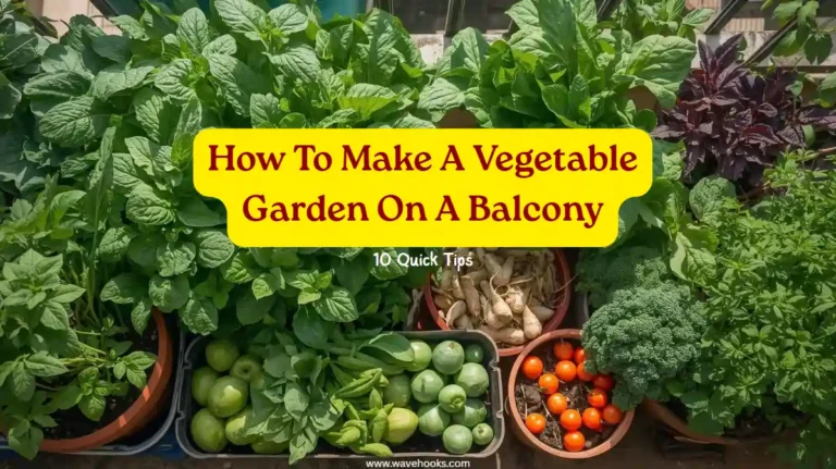 How To Make A Vegetable Garden On A Balcony