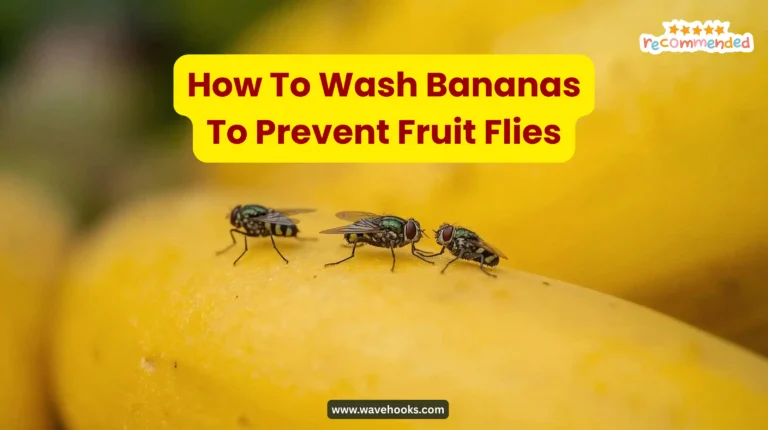 How To Wash Bananas To Prevent Fruit Flies