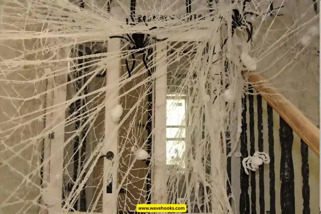 cobwebs