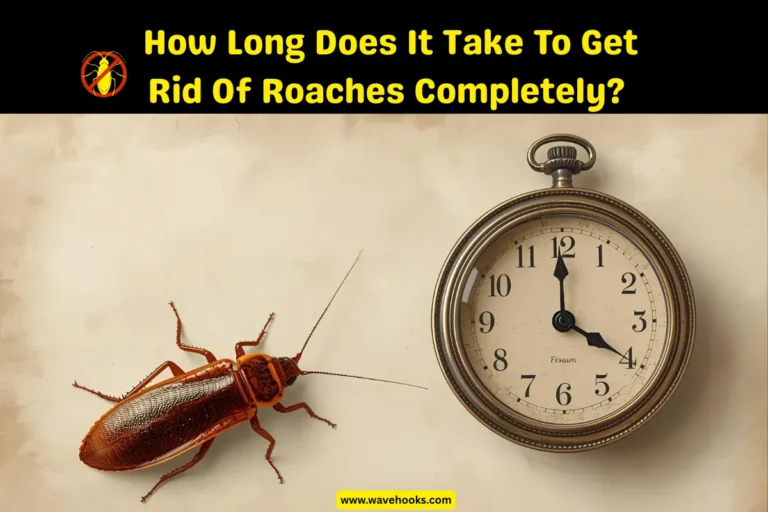 How Long Does It Take To Get Rid Of Roaches Completely?
