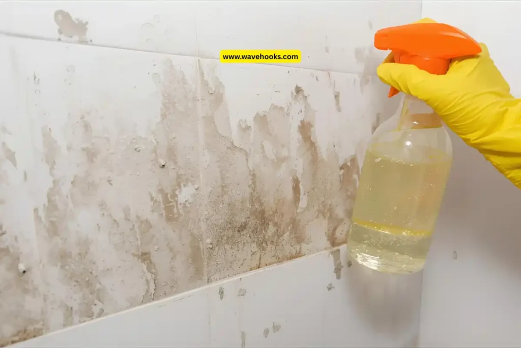 mold in shower grout