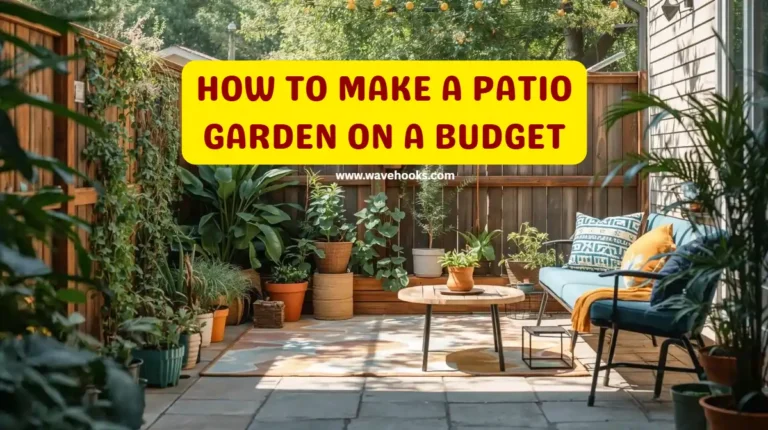 How To Make A Patio Garden On A Budget