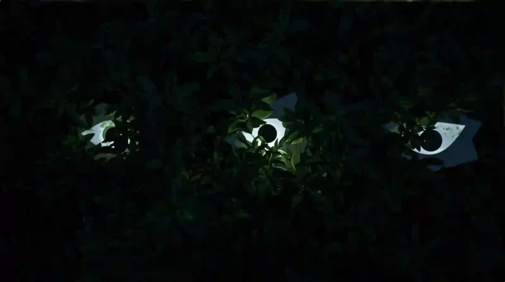 Glowing Eyes in the Bushes
