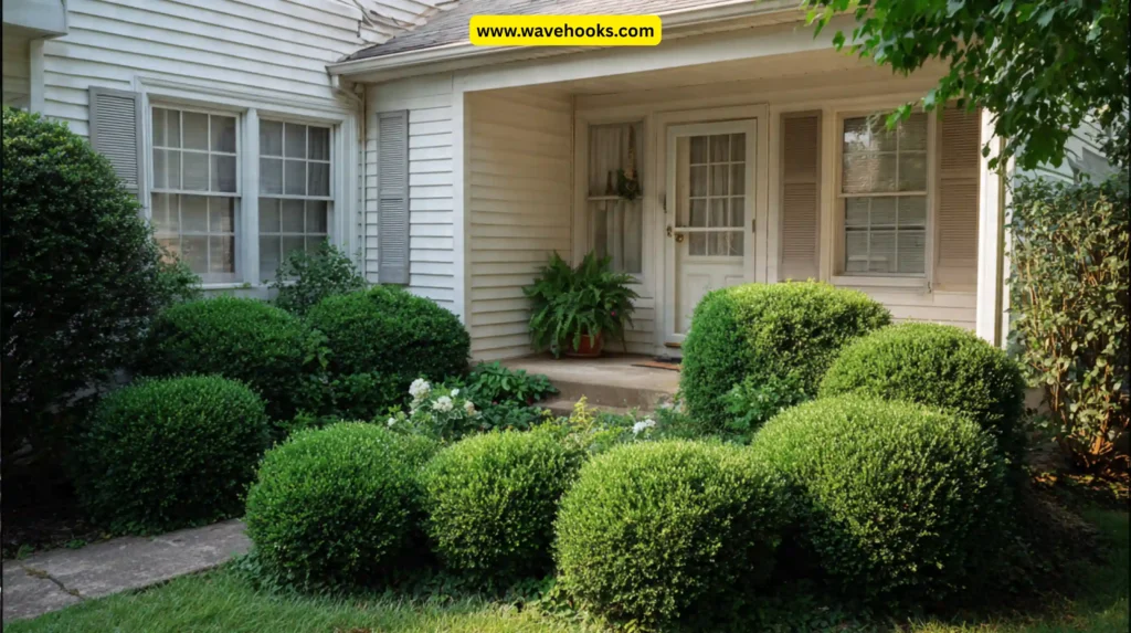 Maintain a Trimmed Yard