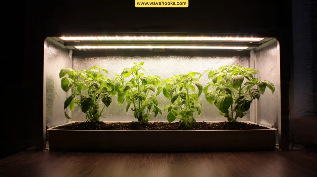 LED Grow Lights