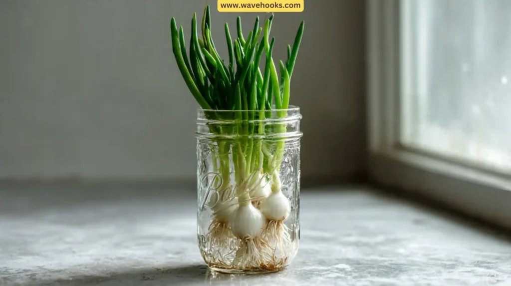 8. Green Onions