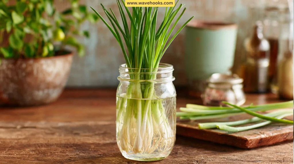 10. Lemongrass