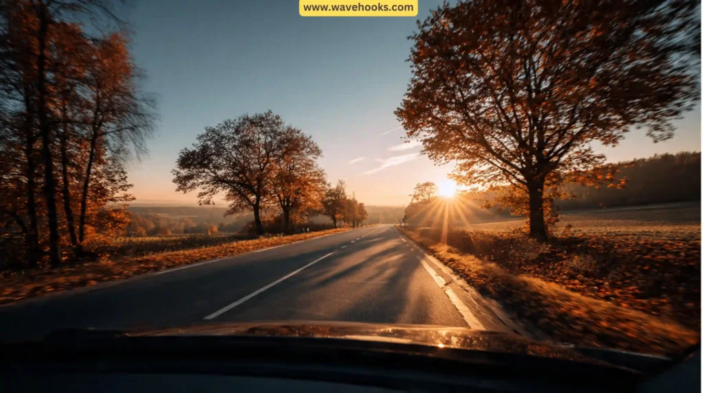 Budget-Friendly Experiences That Feel Special