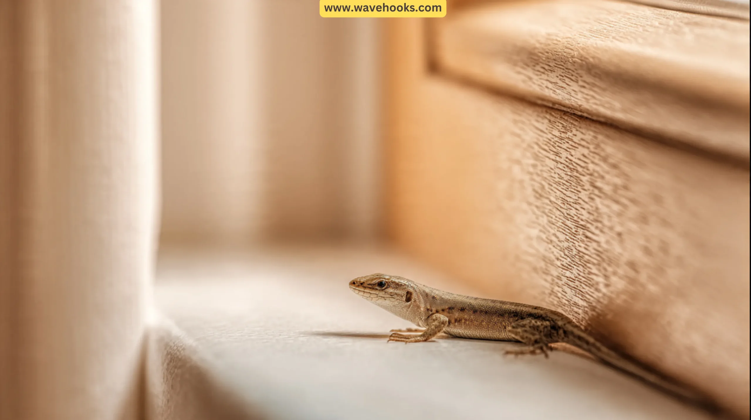 How to Remove a Lizard from a House Permanently: Step-by-Step Guide