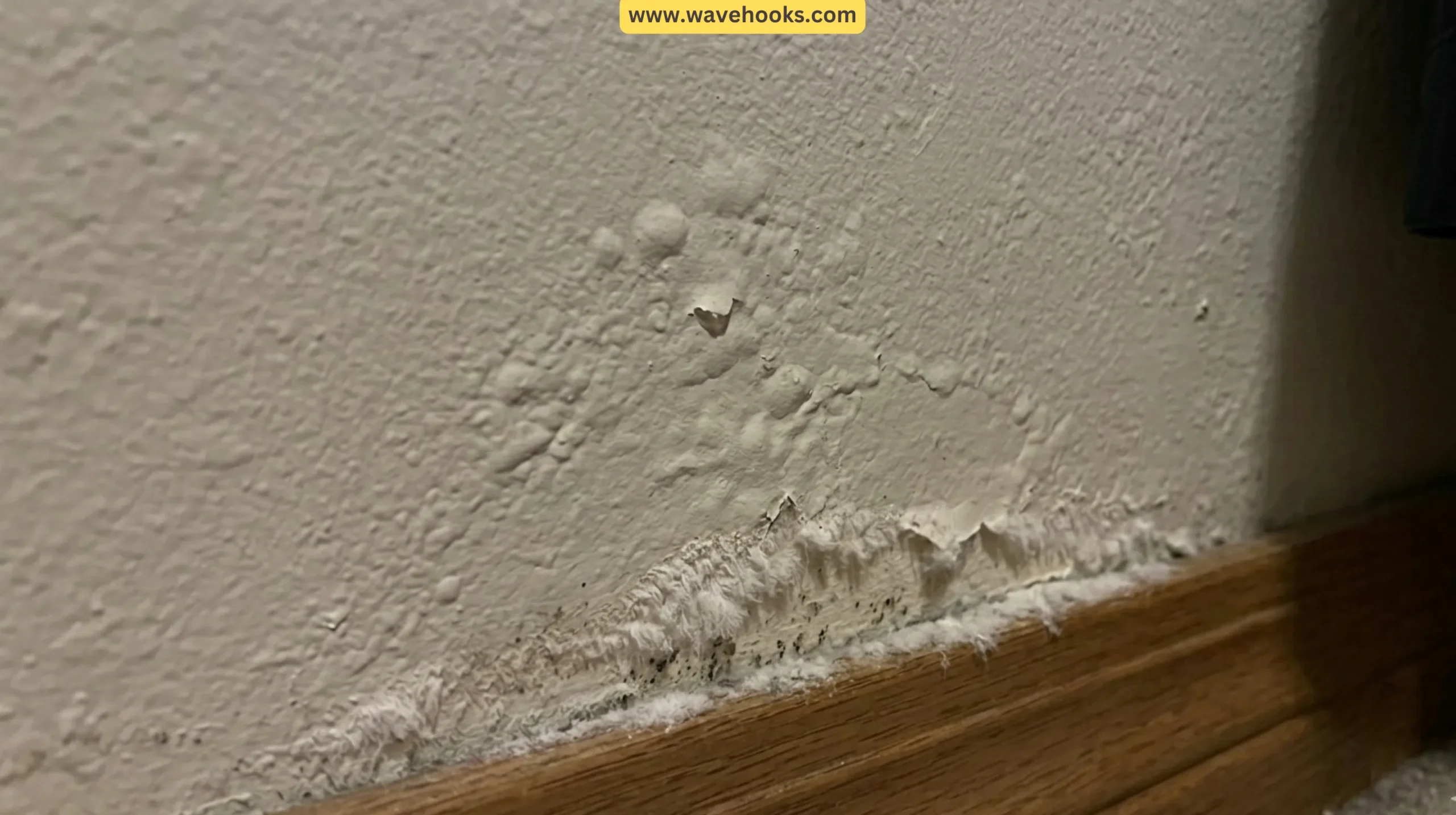The Building Science Behind Why Closets Get Humid
