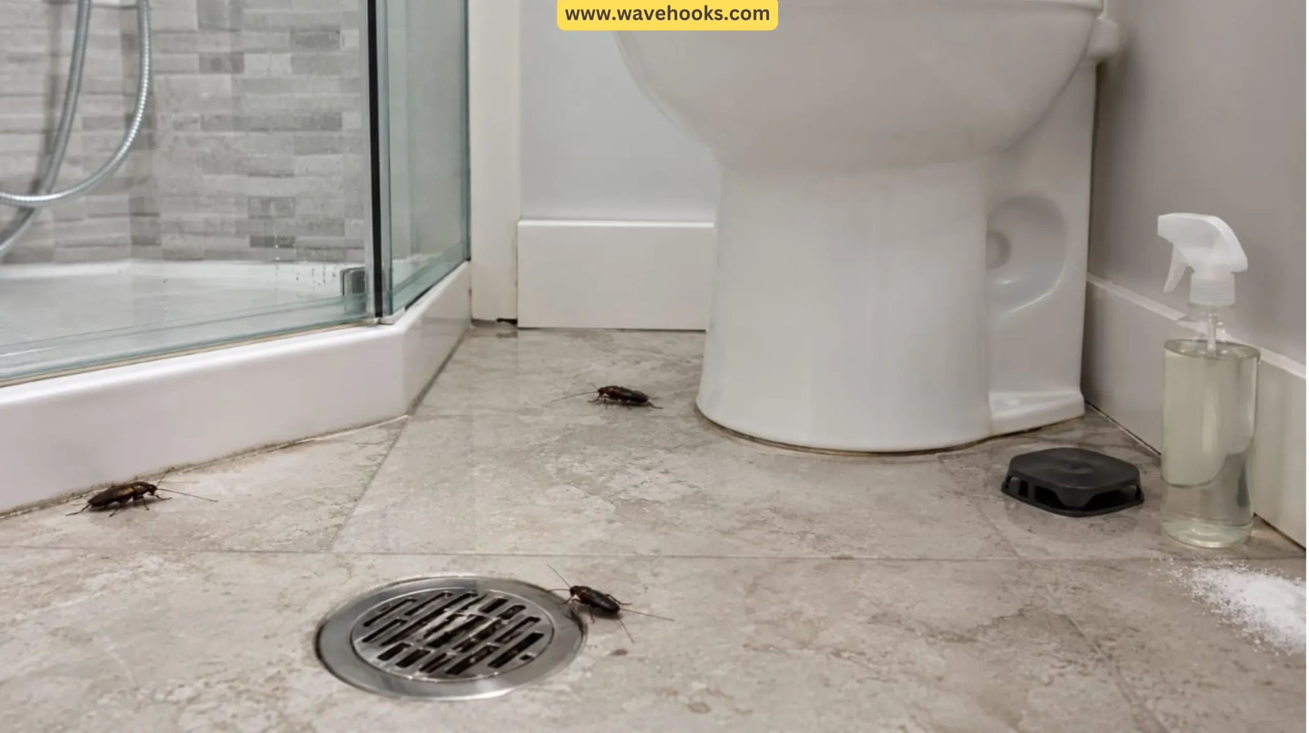 How to Get Rid of Water Bugs in the Bathroom
