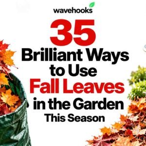 brilliant ways to use fall leaves in the garden